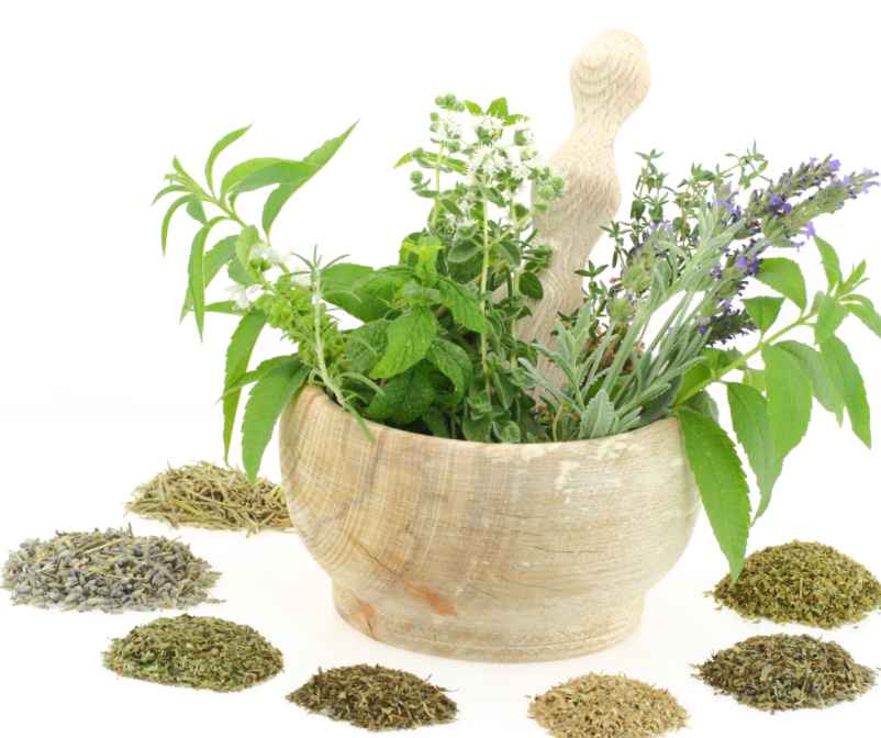 La phytothérapie : une alliée naturelle pour affiner la silhouette